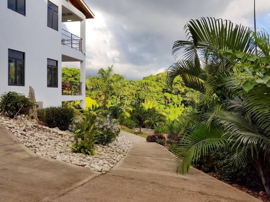 The Willow Apartment Ocho Rios Esterno foto