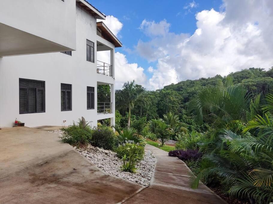 The Willow Apartment Ocho Rios Esterno foto