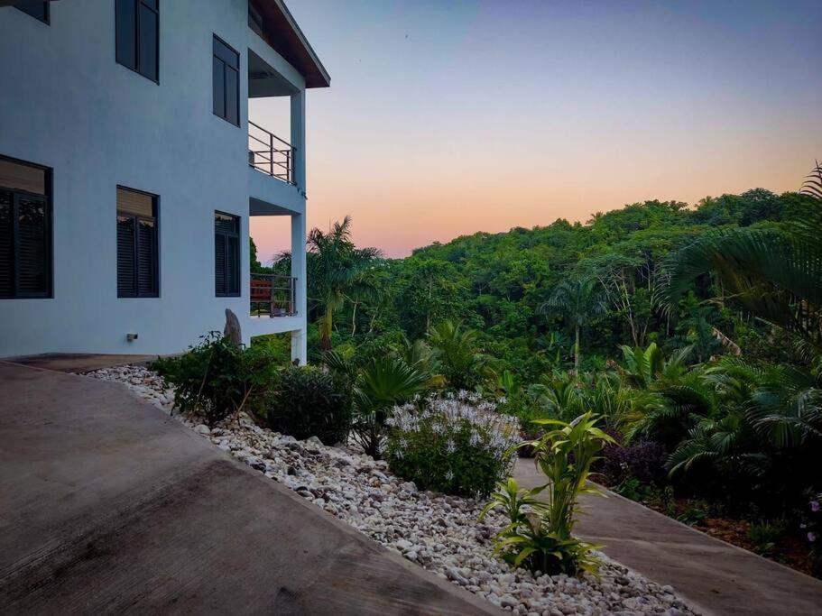 The Willow Apartment Ocho Rios Esterno foto